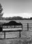 A for sale by owner sign next to an open field ready for development
